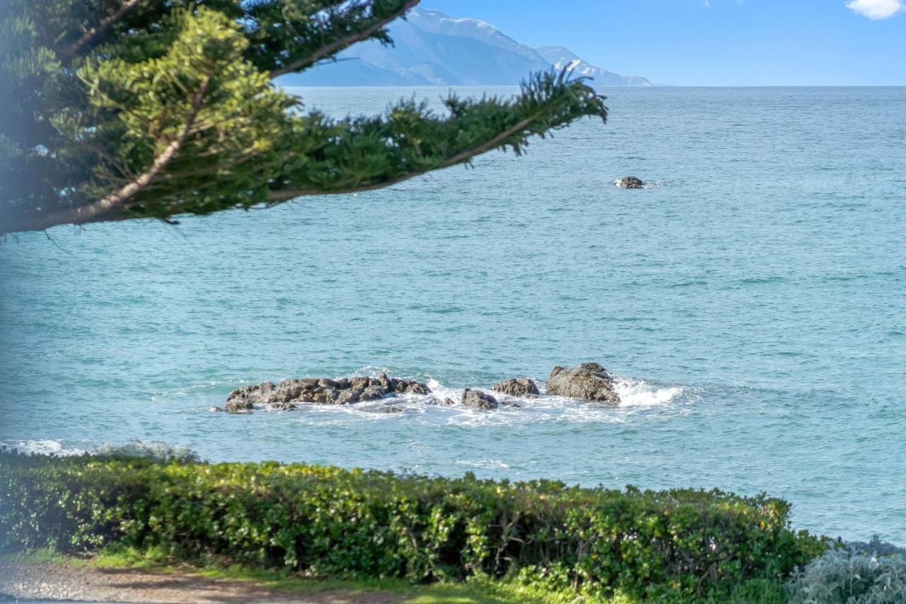 Kaikoura Waterfront Apartments Экстерьер фото